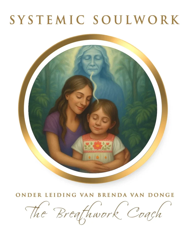 systemic soulwork opleiding