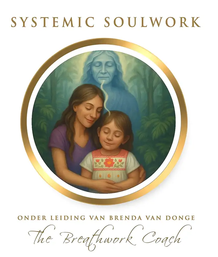 systemic soulwork opleiding